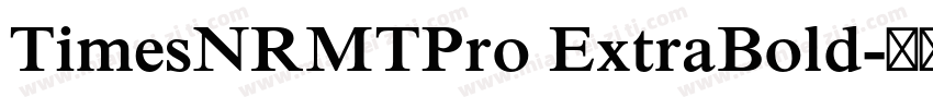 TimesNRMTPro ExtraBold字体转换